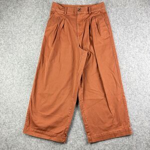 Madewell The Pleated Wide Leg Pants Womens 10 Burnt Sienna Career Minimalist*